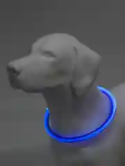 Синий светящийся LED ошейник силиконовый для собак на USB зарядке