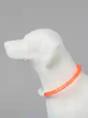 Оранжевый светящийся LED ошейник силиконовый для собак на USB зарядке
