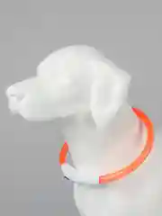 Оранжевый светящийся LED ошейник силиконовый для собак на USB зарядке