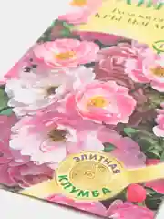 Роза "Крылья Ангела" (семена, цветы)