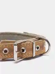 Бежевый ошейник из натуральной кожи, с подкладом из ватина, украшен горячим тиснением "Кость"