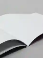 Коралловый альбом для рисования 24 листа, А4 скоба