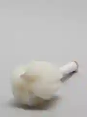 Белый ершик - губка для посуды