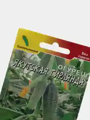 Семена Огурец "Якутская гирлянда"