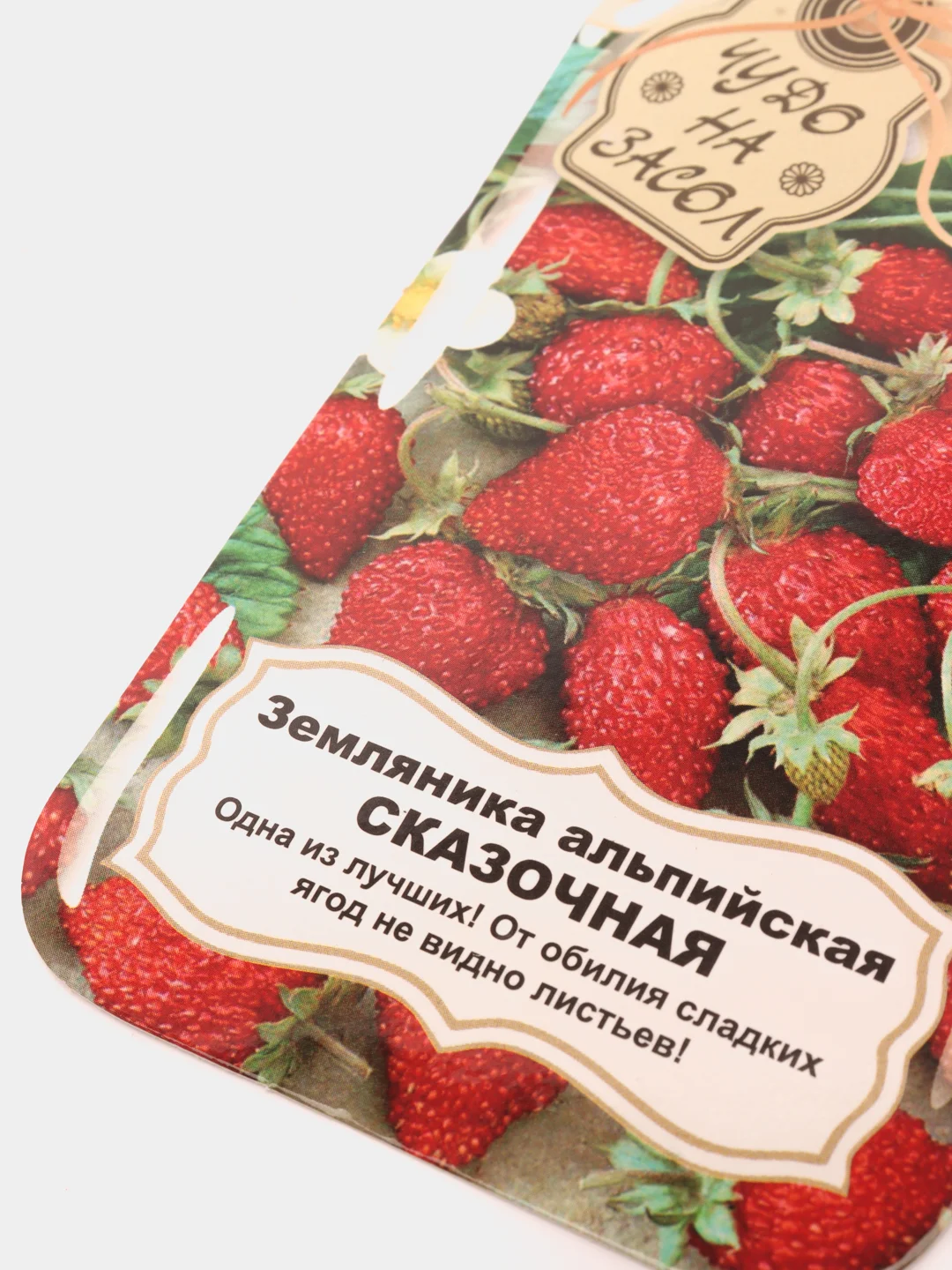 Семена Земляника "Сказочная"