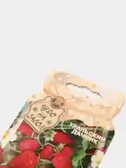Семена Земляника "Сказочная"