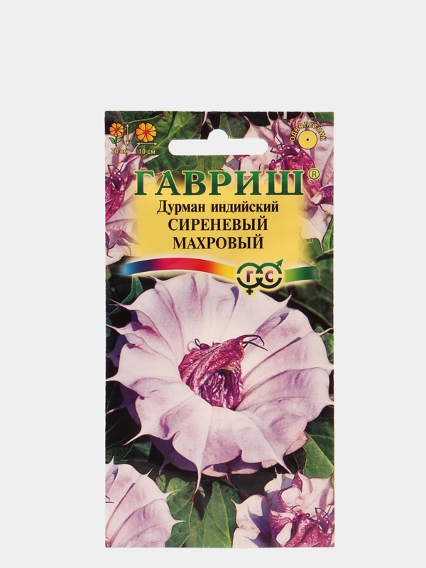 Дурман "Сиреневый махровый", семена, цветы