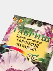 Дурман "Сиреневый махровый", семена, цветы