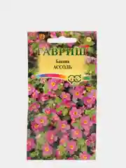 Бакопа "Ассоль", семена, цветы