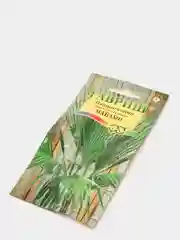 Вашингтония "Майами", семена, цветы