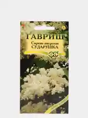 Семена Сирень "Сударушка"