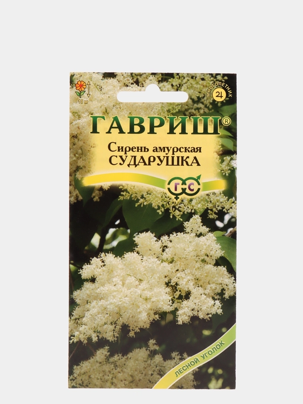 Семена Сирень "Сударушка"