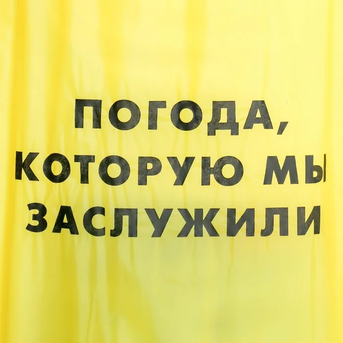 Дождевик плащ "Погода, которую мы заслужили", размер универсальный, 42-46, 60 х 110 см