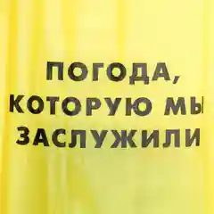 Дождевик плащ "Погода, которую мы заслужили", размер универсальный, 42-46, 60 х 110 см