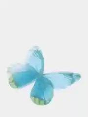 Бирюзовый бабочки шифоновые средние
