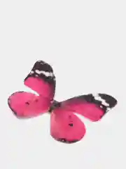 Вишнёвый бабочки шифоновые средние