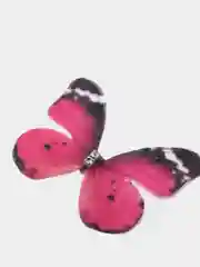 Вишнёвый бабочки шифоновые средние