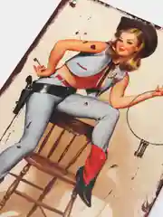 Аметистовый винтажные жестяные таблички "Pin up Girls"