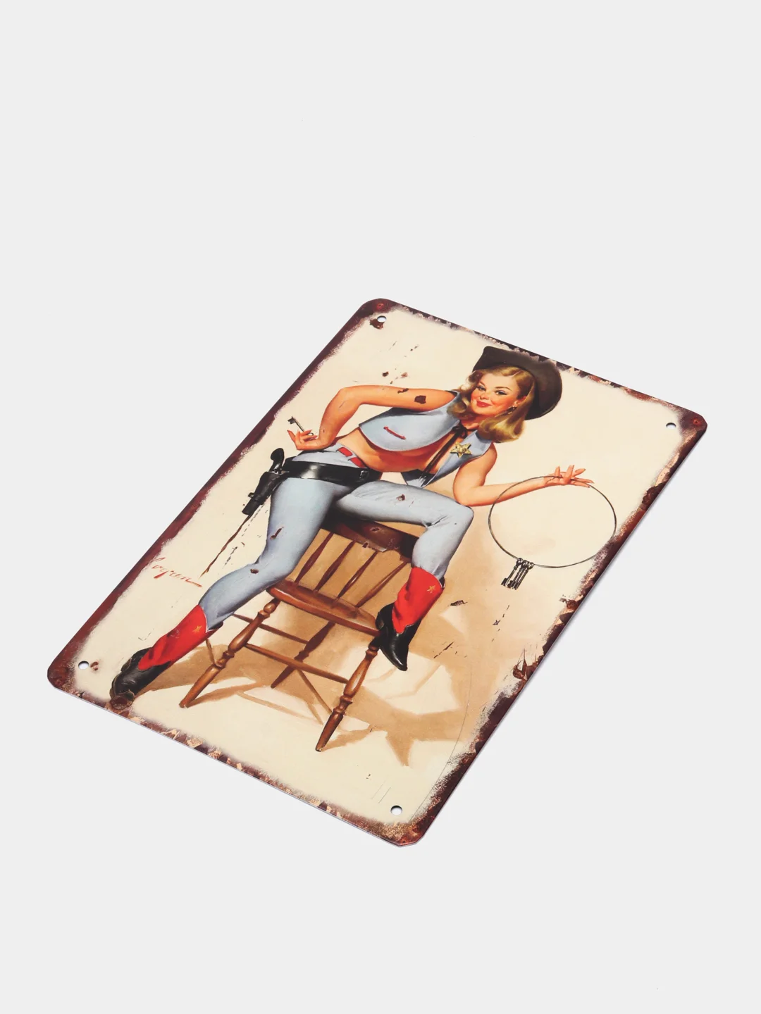Аметистовый винтажные жестяные таблички "Pin up Girls"