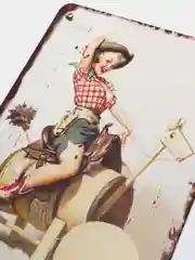Алый винтажные жестяные таблички "Pin up Girls"