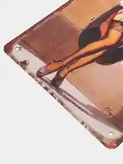 Зелёный хаки винтажные жестяные таблички "Pin up Girls"