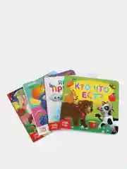Набор картонных книг "Знакомимся с окружающим миром", 4 штуки по 10 страниц
