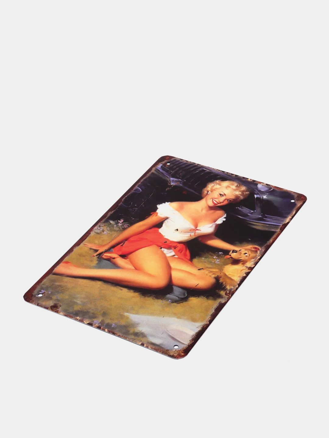 Вишнёвый винтажные жестяные таблички "Pin up Girls"