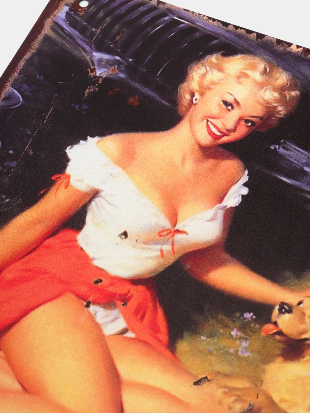 Вишнёвый винтажные жестяные таблички "Pin up Girls"