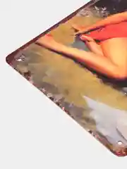 Вишнёвый винтажные жестяные таблички "Pin up Girls"