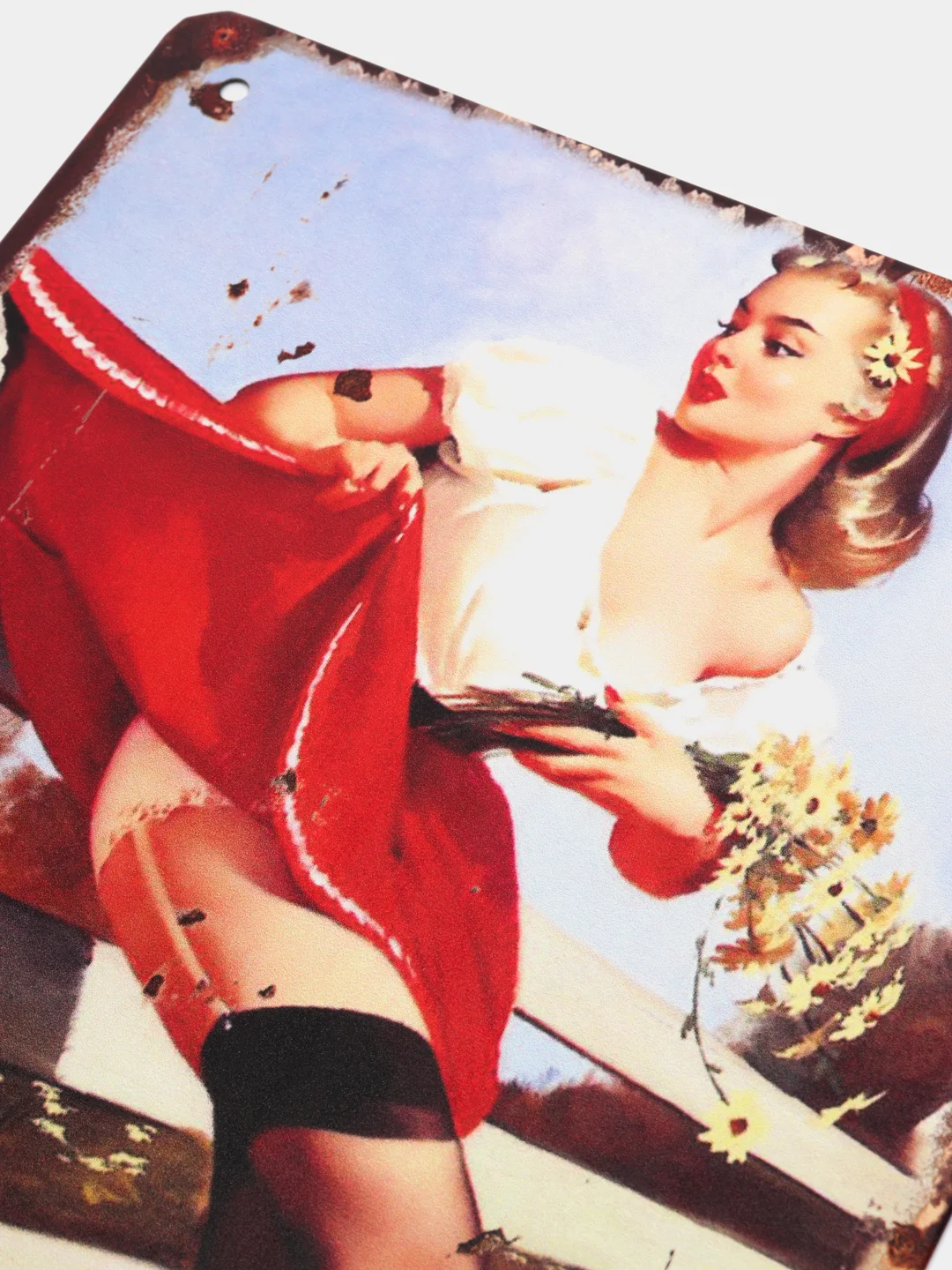 Бронзовый винтажные жестяные таблички "Pin up Girls"