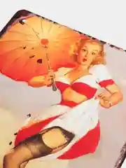 Бирюзовый винтажные жестяные таблички "Pin up Girls"