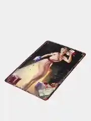 Белый винтажные жестяные таблички "Pin up Girls"