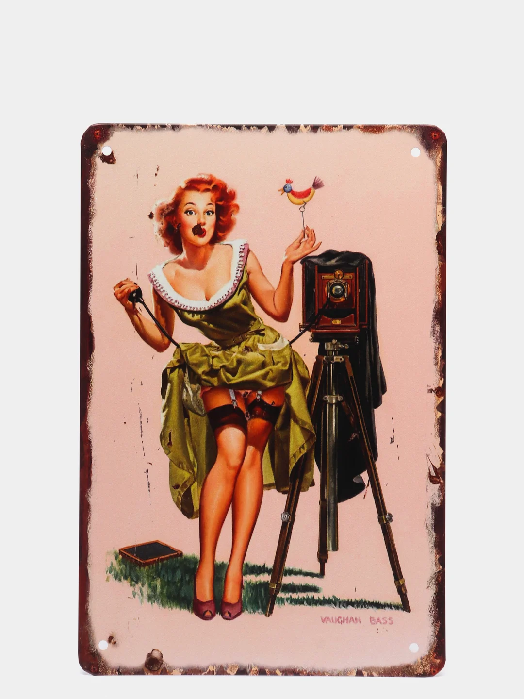 Бежевый винтажные жестяные таблички "Pin up Girls"
