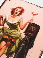 Бежевый винтажные жестяные таблички "Pin up Girls"