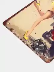 Багровый винтажные жестяные таблички "Pin up Girls"