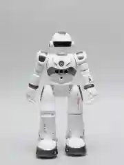 Робот-игрушка радиоуправляемый IQ BOT GRAVITONE, русское озвучивание, цвет серый