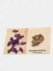 Фиолетовый накладки на когти кошки, антицарапки, мягкие когти, силиконовые колпачки на когти