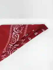 Бордовый бандана с принтом