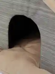 Бежевый домик для кошек и собак