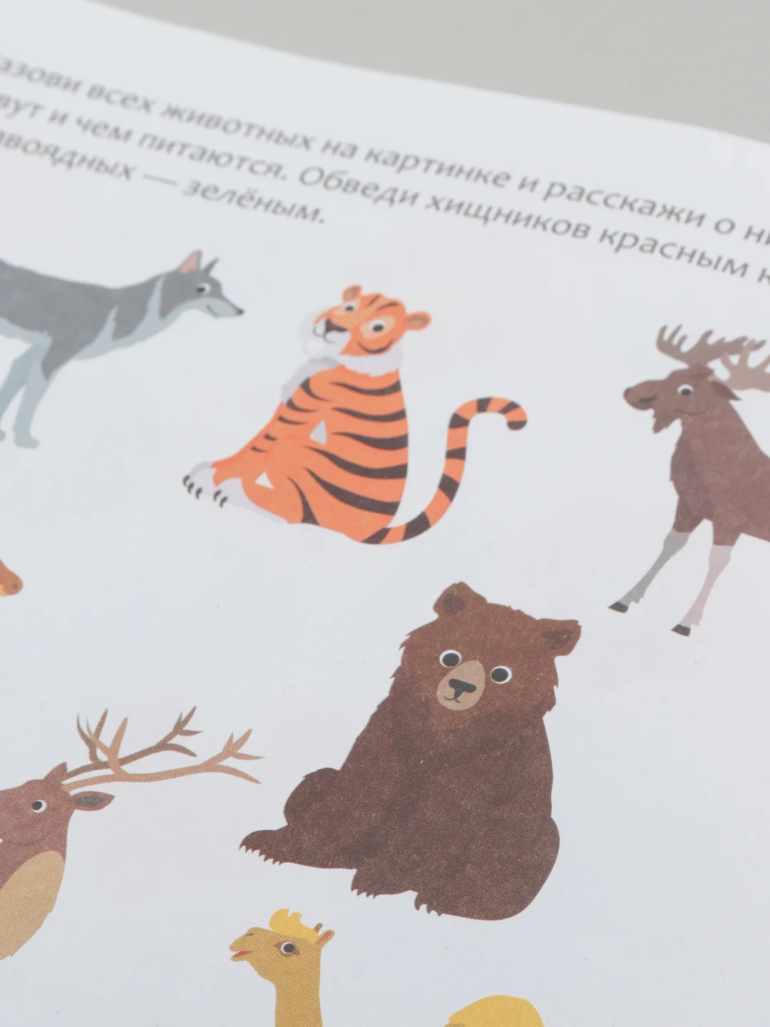 Аметистовый обучающая книга для детей "IQ уроки", годовой курс занятий, 20 страниц