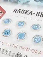 Файл-вкладыш А4, 30 мкм, Calligrata, глянцевый, вертикальный, 100 штук