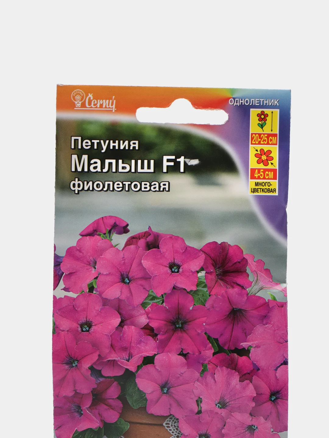 Петуния мини Малыш фиолетовая (семена,цветы)