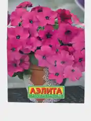 Петуния мини Малыш фиолетовая (семена,цветы)
