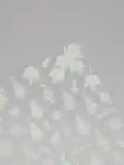 Бронзовый наклейки для дизайна ногтей
