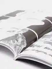 Сестра. Поэма в комиксе / Книга комикс