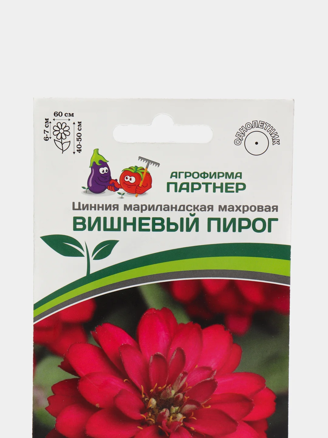 Семена Цинния "Вишневый пирог", мариландская, махровая