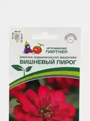 Семена Цинния "Вишневый пирог", мариландская, махровая