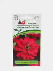 Семена Цинния "Вишневый пирог", мариландская, махровая