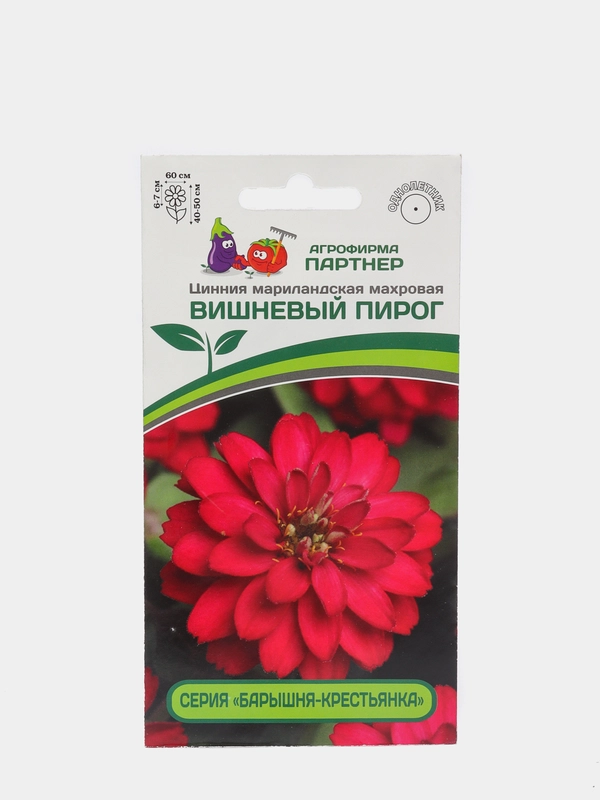 Семена Цинния "Вишневый пирог", мариландская, махровая