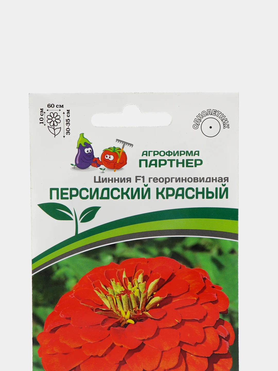 Семена Цинния F1 "Персидский красный", георгиновидная
